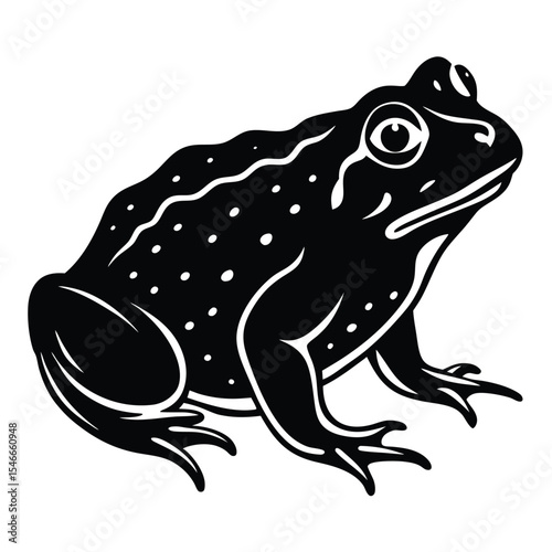 frog on white background