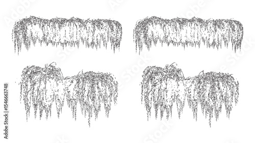 Tropical Weeping Vines Plant Outline Set
