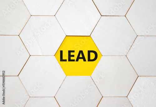 Lead symbol. Concept word Lead on wooden comb puzzle. Beautiful yellow background. Business and Lead concept. Copy space.