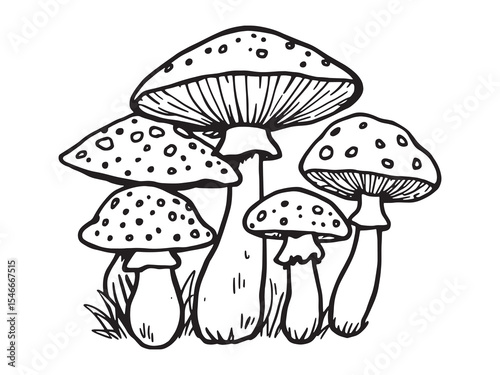 Spotted Mushroom Line Drawing