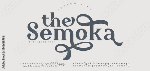 Elegant alphabet letters font and number. Classic Lettering Minimal Fashion Designs. Typography modern serif fonts regular decorative vintage concept. vector illustration