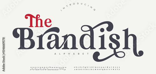 Elegant alphabet letters font and number. Classic Lettering Minimal Fashion Designs. Typography modern serif fonts regular decorative vintage concept. vector illustration