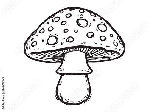 Spotted Mushroom Stylized Icons