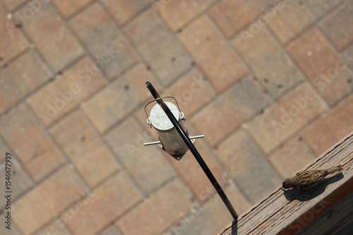 Fototapeta Naklejka Na Ścianę i Meble -  single small bird on wooden rail near hanging feeder above paved patio (overhead-view, close-up)