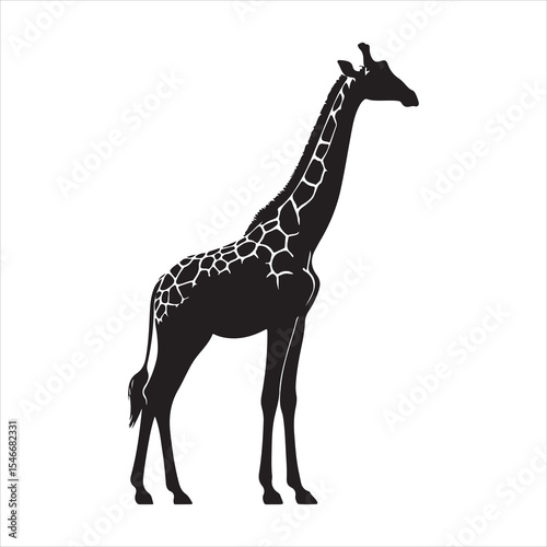 Silhouette vector of a giraffe standing on a white background