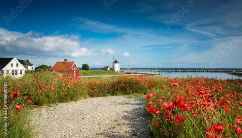 summer in denmark