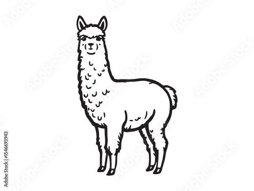 Alpaca Minimalist Black Line Drawing