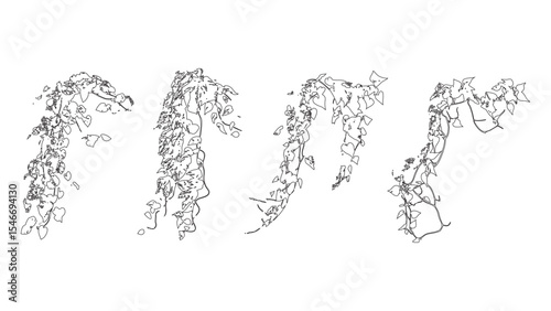 Dense Hanging Ivy Line Art Illustration