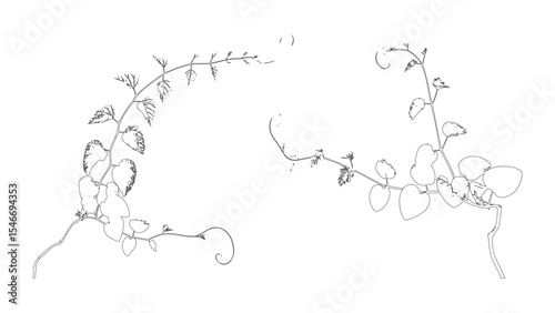 Delicate Climbing Vines Leaf Sketch Art