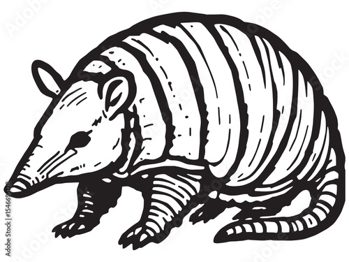 Armadillo Line Art Illustration Set