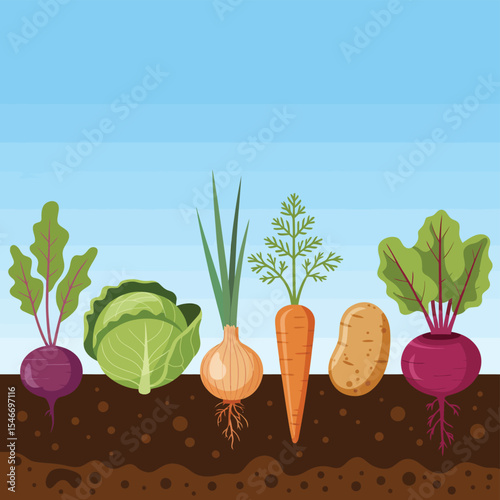 Fresh vegetables growing in garden soil
