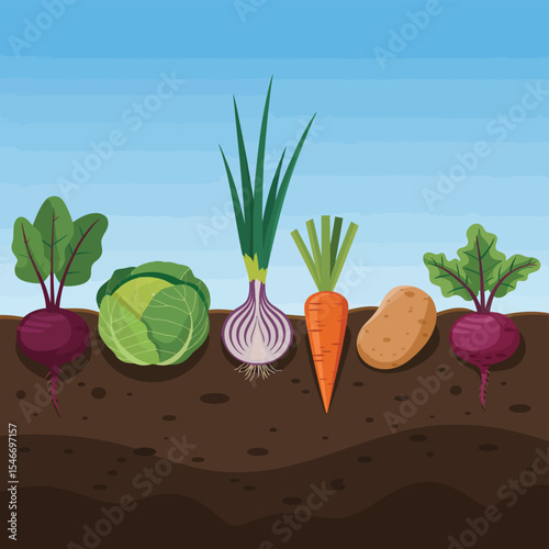 Fresh vegetables growing in garden soil