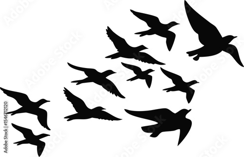A vector illustration of flying bird silhouettes, capturing the essence of freedom and wild nature