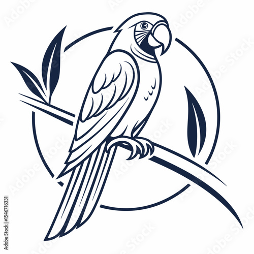 vector illustration of a parrot