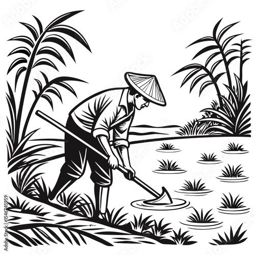 Rice Farming Illustration Tips