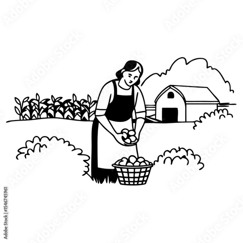Farm Harvest Illustration Ideas