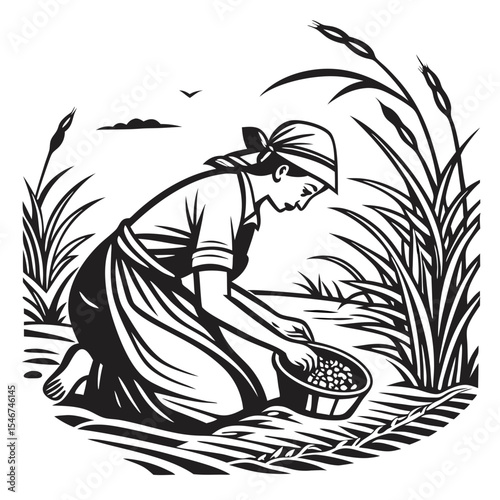 Field Harvest Illustration