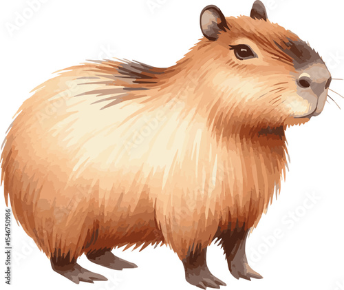 Vector watercolor painted illustration of cute capybara