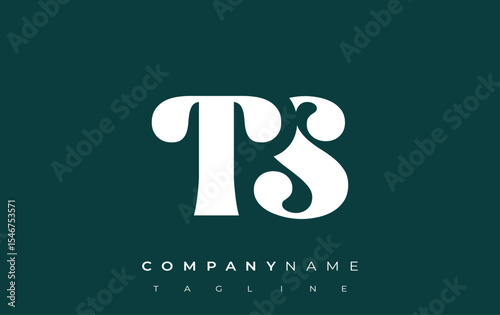 TS Creative Abstract Typography Logo Design. Elegant logo combining bold typography and creative shapes, ideal for branding and identity solutions.