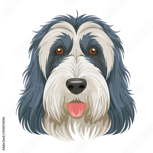 Bearded Collie Breed Dog Portrait with Shaggy Furry Coat Vector Illustration