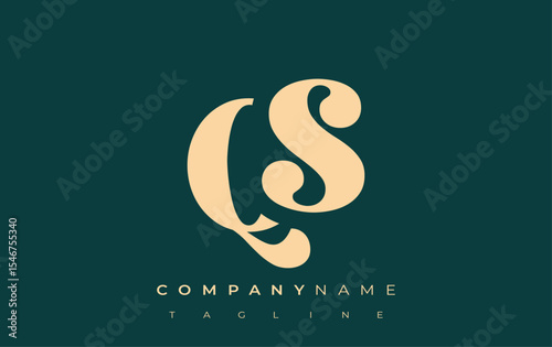 QS Creative Abstract Typography Logo Design. Elegant logo combining bold typography and creative shapes, ideal for branding and identity solutions.