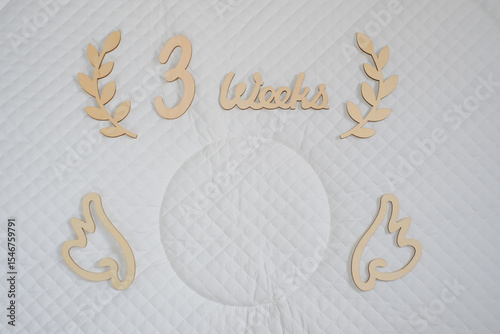 月齢フォット　３weeks
