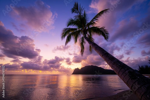 Tropical sunset beach scene palm tree silhouette free beach background