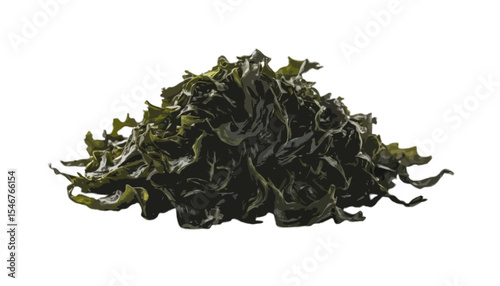 A small pile of dried wakame seaweed with its dark green slightly curled leaves isolated on a transparent background representing ocean essence