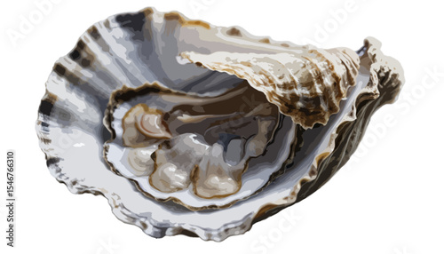 A single elegant oyster capturing its natural beauty and intricate texture hidden in salty waters