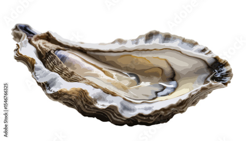  A single elegant oyster capturing its natural beauty and intricate texture in delicate harmony
