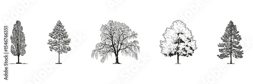 Monochrome Tree Silhouettes Side View Set. Landscape Architecture And Urban Green Space Design Collection. Isolated Vector Illustration