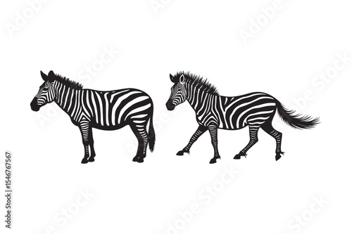 Zebra Silhouette Vector Illustration Wildlife Design Clipart