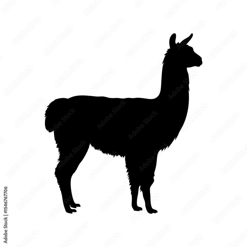 Fototapeta premium Black silhouette of alpaca standing on white background vector illustration