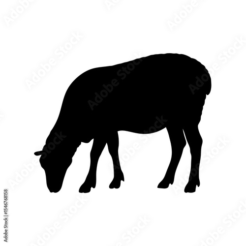 Black silhouette of sheep grazing on white background vector illustration