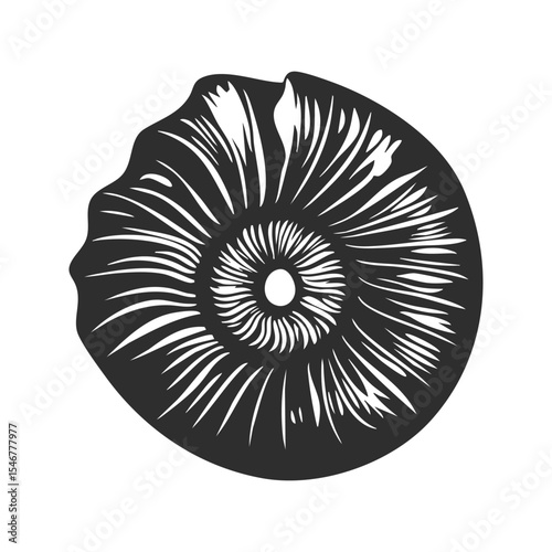 Mushroom Cap Gills Silhouette Illustration. Nature'S Intricate Patterns And Organic Design Isolated Vector Illustration