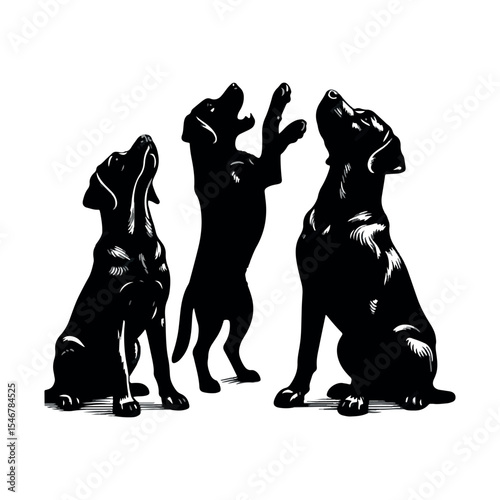 silhouettes of dancing people