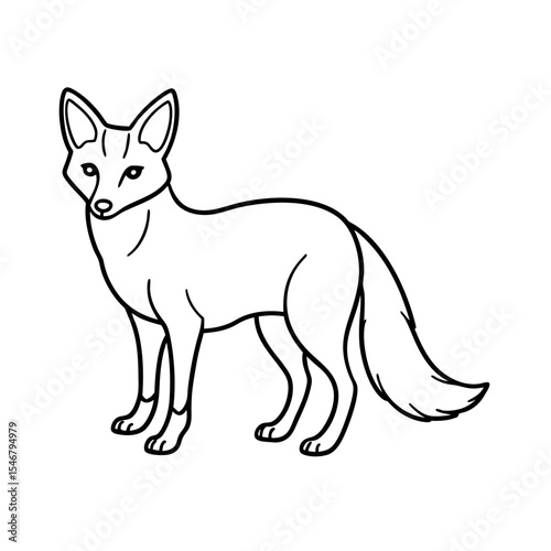 Desert Fox Minimal Line Drawing