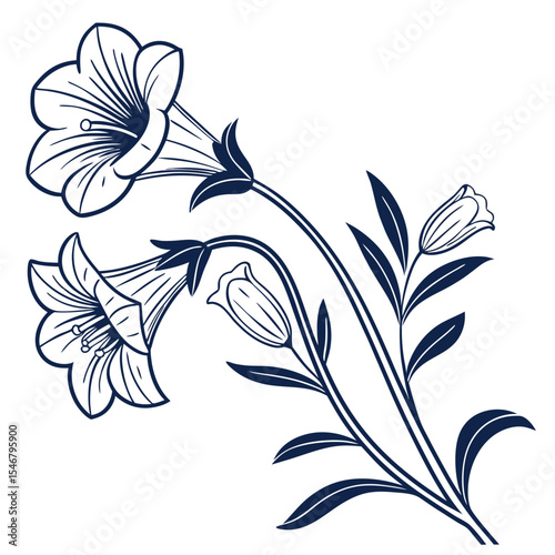 black and white  wishbone flower