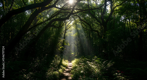 Sunlight Filtering Through A Dense And Verdant Green Forest Canopy