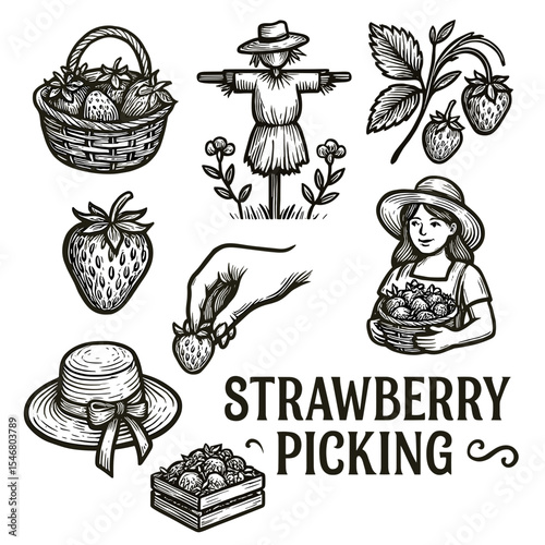 Vintage strawberry picking illustration with baskets and scarecrow  
