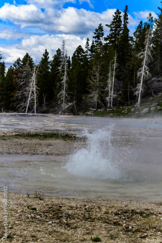 Geysers with hot water spew steam in Yellowstone National Park
