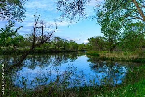 A small colorful lake in the forest with trees hanging over the water, forest landscape