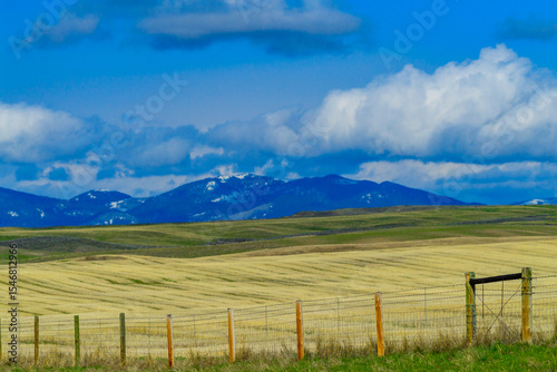 Mountain landscape, snow in the mountains in spring in Montana