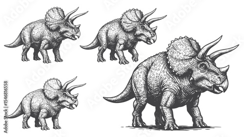 Fototapeta Naklejka Na Ścianę i Meble -  Engraved Triceratops dinosaur vintage horned herbivore creature detailed bold classic graphic ancient illustration