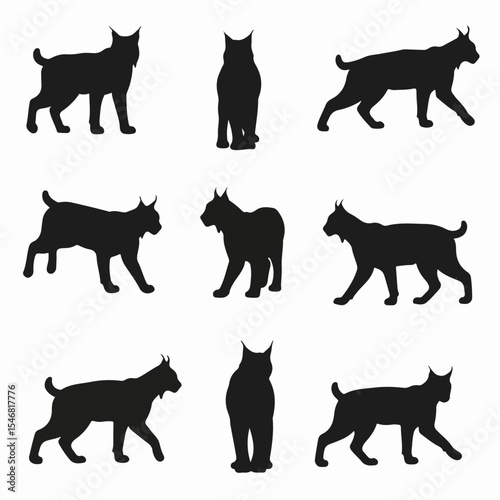 Lynx silhouettes collection wild cat feline