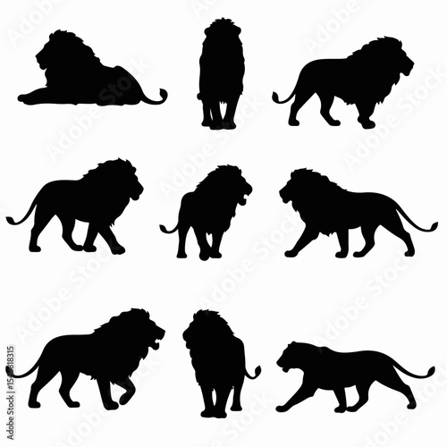 Lion silhouettes animal wildlife mammal feline predator