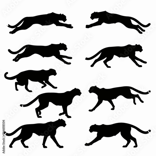Leopard silhouette set wildlife animal wildcat feline