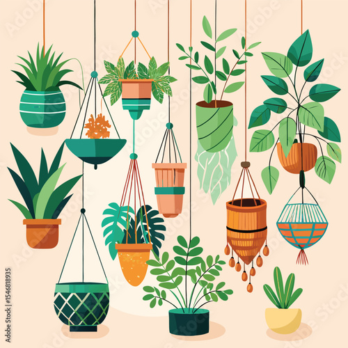 Suspended Indoor Garden: A Collection of Decorative Houseplants in Macrame Planters