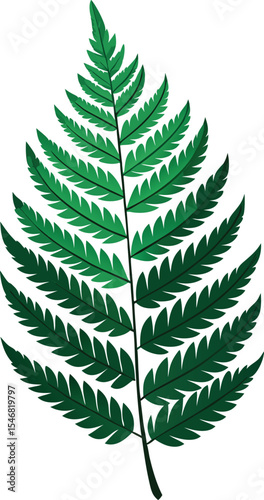 Green Fern Leaf: Detailed Pinnate Structure