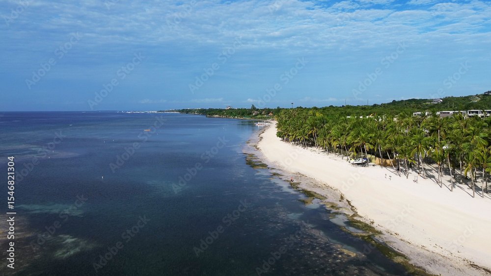 Tropical beach with white sand and palm trees Tropical beach with white sand and palm trees